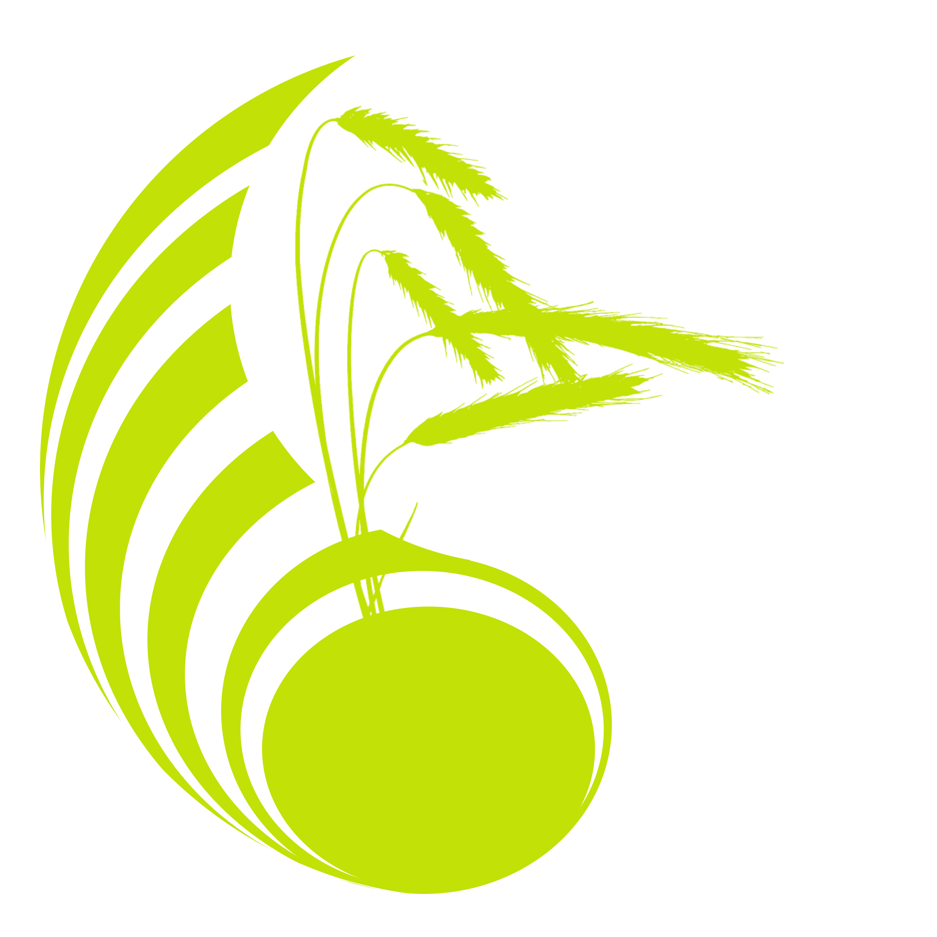Logo Ernährungsberatung Michael Frank